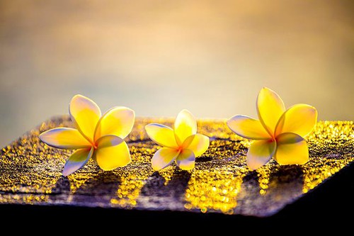 Những điều cần buông bỏ trong cuộc đời