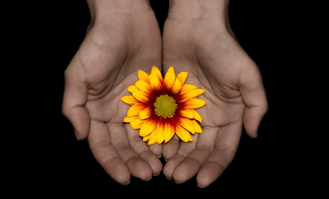 Hạnh phúc là khi được cho đi...