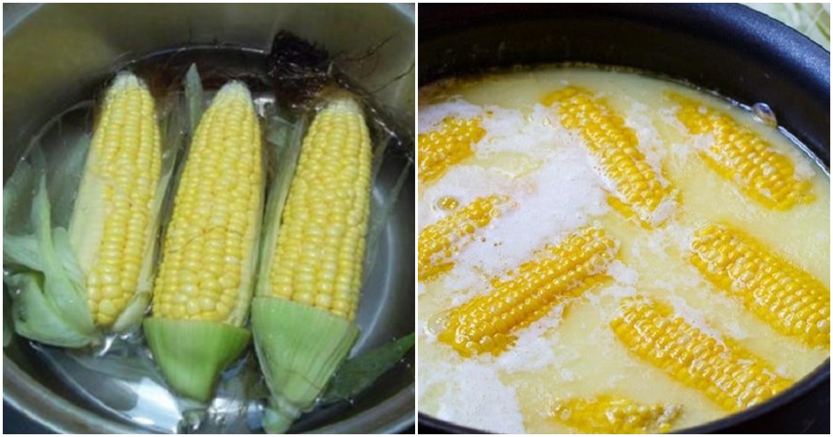 Tuyệt chiêu ‘lạ’ luộc ngô ngọt lừ, từng hạt thơm dẻo chinh phục cả người khó tính nhất