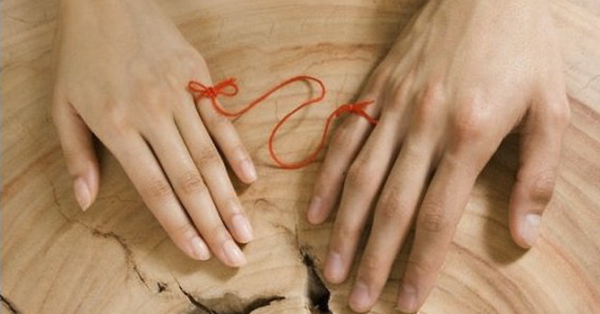 Đã là duyên thì nghìn trùng xa cách cũng sẽ gặp được nhau, đã là nợ thì có trốn chân trời góc bể cũng không thoát được.