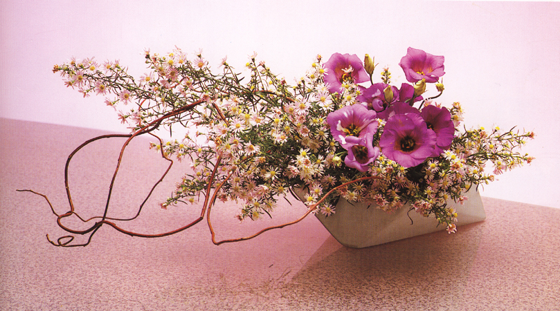 Tử vi của 12 con giáp trong ngày 28/2/2019