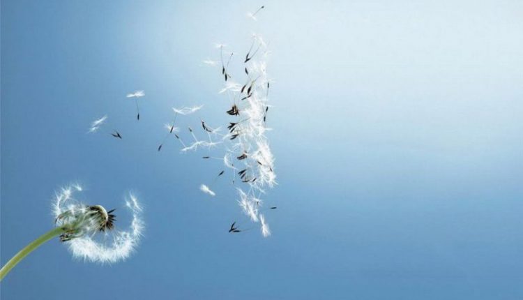 Trầm tĩnh là cảnh giới cao nhất của người có hàm dưỡng