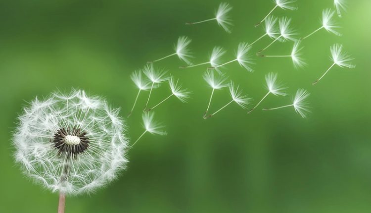 6 bài học biết càng sớm càng tốt, ai cũng nên đọc