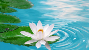 Những câu thần chú giúp con người vượt qua mọi khó khăn