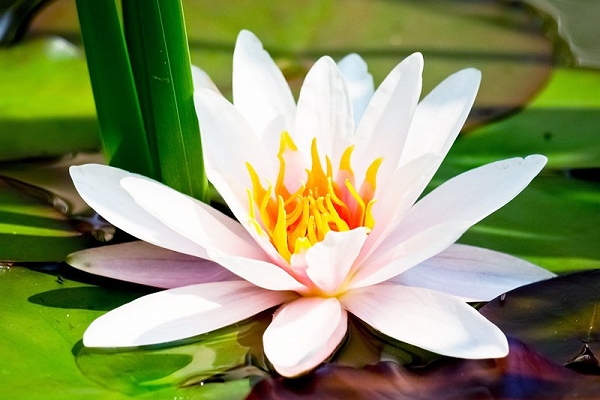 Giành giật để làm gì khi mọi điều đã được an bài?