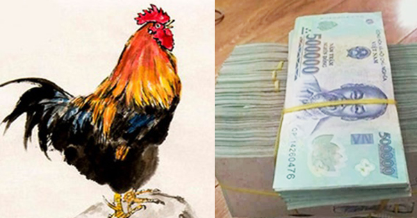 3 con giáp không có gì ngoài điều kiện và tiền tỷ trong túi khi bước sang tháng 3/2019