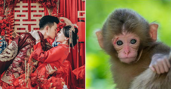 4 con giáp nhận được tin song hỷ, sự nghiệp tăng tiến trong tháng 2 Âm lịch