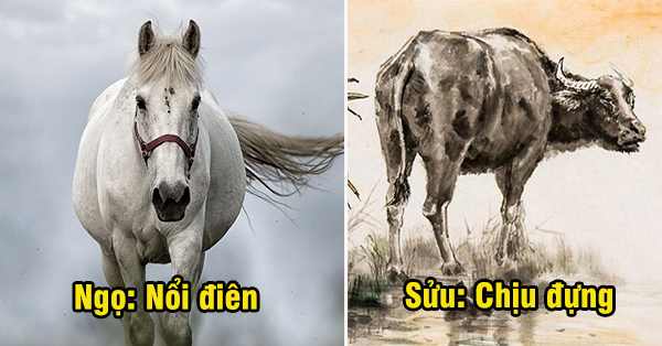 12 nàng giáp phản ứng ra sao khi bị PHẢN BỘI: Người khóc lóc vật vã kẻ ‘cười khẩy’ bước đi