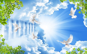 Tử vi của 12 con giáp trong ngày 14/3/2019