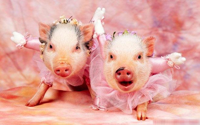 3 nàng giáp tài giỏi hơn người, sinh ra để RƯỚC PHÚ QUÝ về cho dòng tộc, giúp chồng phát tài