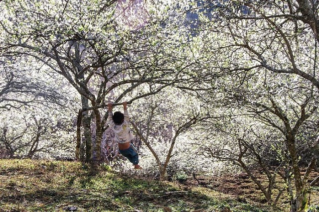 Chúng Ta Sở Dĩ Mệt Mỏi Là Bởi Vì Đã Suy Nghĩ Quá Nhiều