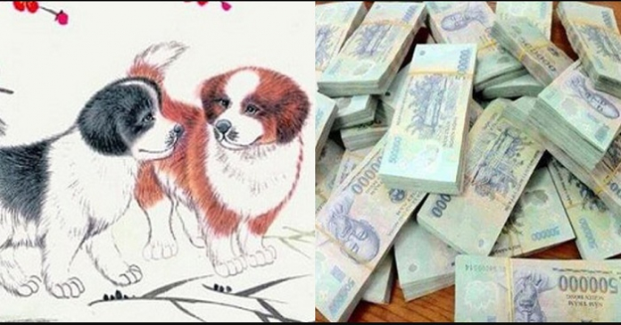 Người Cầm Tinh 5 Con Giáp Này, Sinh Ra Đã Được Trời Thương , Được Người Khác “Tình Nguyện” Mang TÀI LỘC Đến, Lộc Lá Ú Ụ Cả Đời