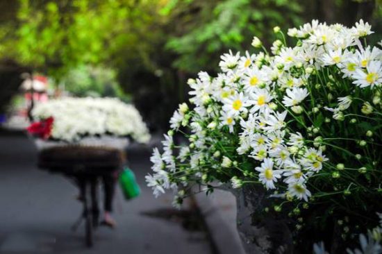 Im Lặng Là Vàng, Nhẫn Nhịn Là Bạc, Giúp Người Là Đức, Chịu Thiệt Là Phúc