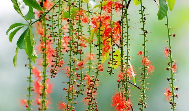 Tử vi của 12 con giáp trong ngày 16/4/2019