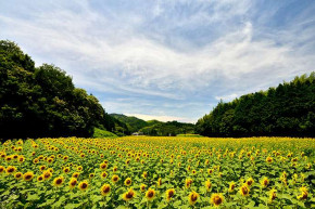 Tử vi của 12 con giáp trong ngày 18/4/2019