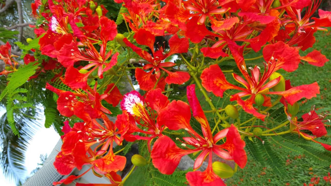 Tử vi của 12 con giáp trong ngày 1/5/2019