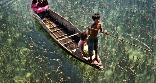 Sự nuông chiều của cha mẹ chỉ tạo nên những đứa con vô ơn