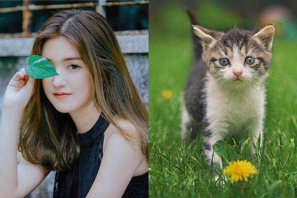 Chúc mừng 4 con giáp &rsquo;vàng &rsquo;, cầu gì được nấy trong năm 2019