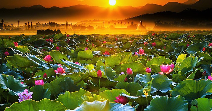 Tử vi của 12 con giáp trong ngày 13/5/2019