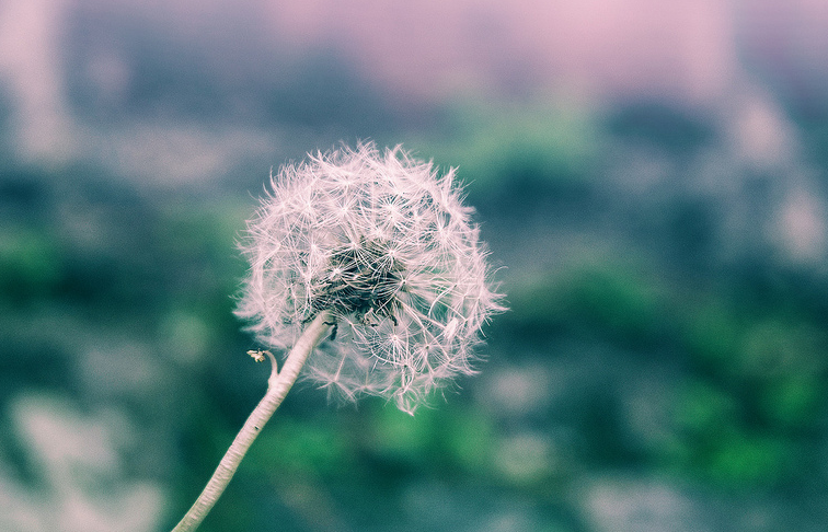 Tử vi của 12 con giáp trong ngày 28/5/2019