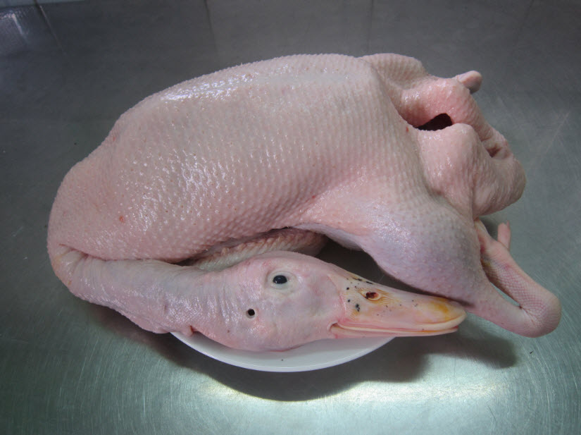 Người bán vịt sẽ không nói cho bạn điều này: Cách lướt qua đã biết "vịt ta" thơm ngon không tiêm nước