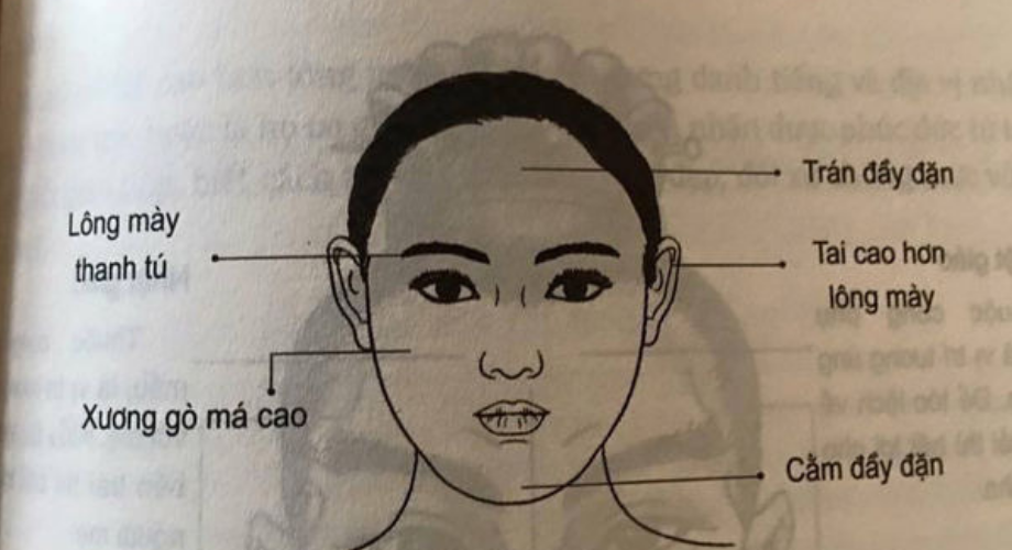 7 đặc điểm trên gương mặt hé lộ người phụ nữ có số hưởng, cuộc đời an nhàn