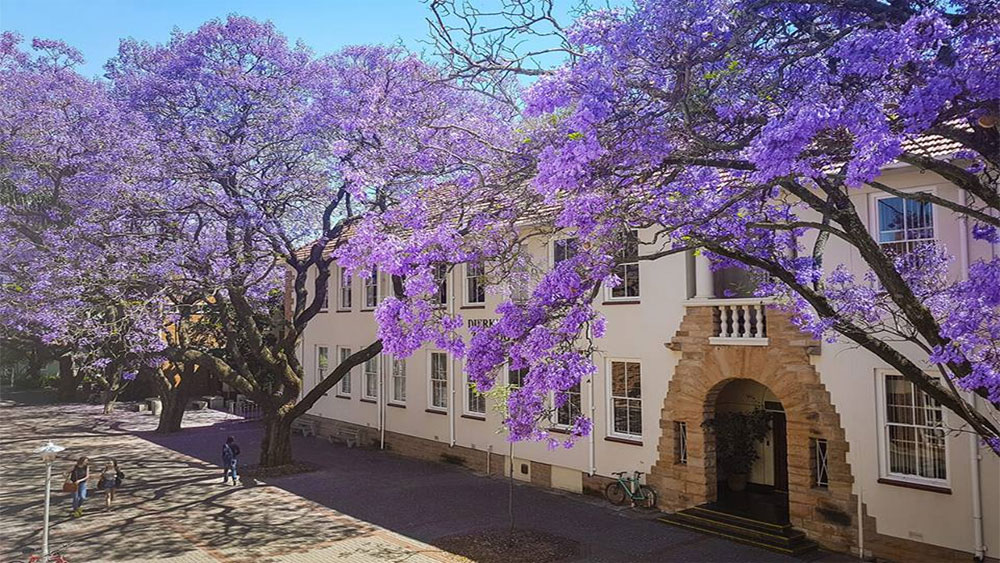 Tử vi của 12 con giáp trong ngày 30/5/2019