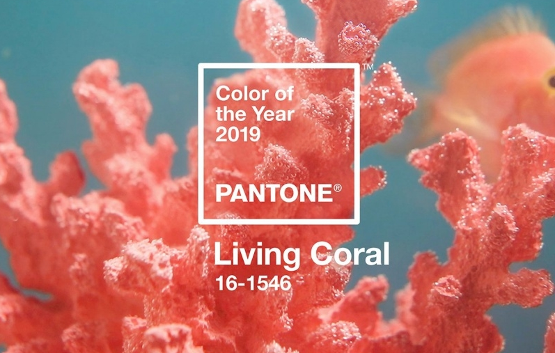 Đi tìm phong cách trang điểm cho nhân viên công sở từ tông màu Cam san hô