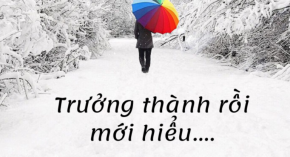 Trưởng thành rồi mới hiểu….