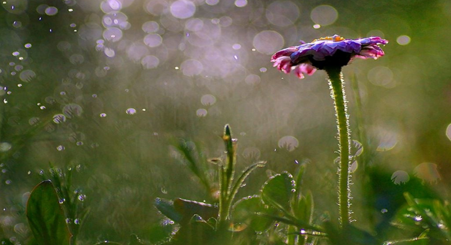 Người thiện lương học cách chịu thiệt bởi chịu thiệt là một loại phúc báo