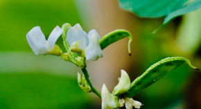 Một lần tha thứ là một lần tạo phúc, bao dung càng lớn phúc báo càng nhiều