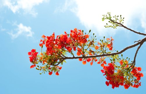 Tử vi của 12 con giáp trong ngày 16/7/2019