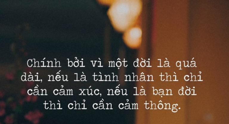 Một đời là quá dài, cảm xúc là tạm bợ, cảm thông mới là mãi mãi