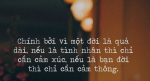 Một đời là quá dài, cảm xúc là tạm bợ, cảm thông mới là mãi mãi