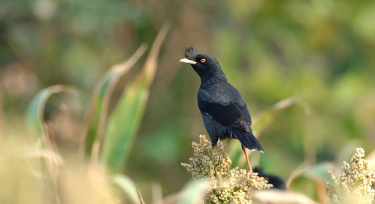 Những thói quen giúp bạn sống KHÔN hơn !