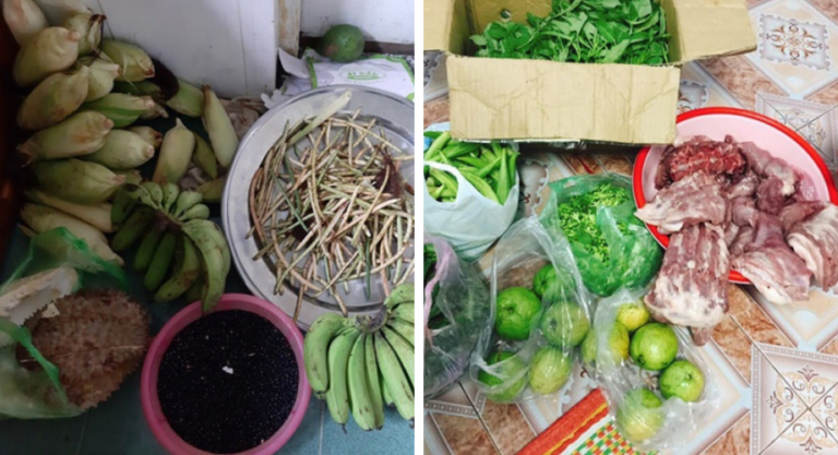 Chỉ những ai lấy chồng xa mới hiểu: Thương con gái, bố mẹ gói ghém cả khu vườn gửi cho tận tay