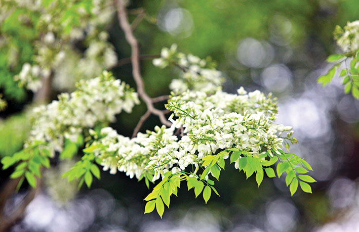 Tử vi của 12 con giáp trong ngày 28/7/2019