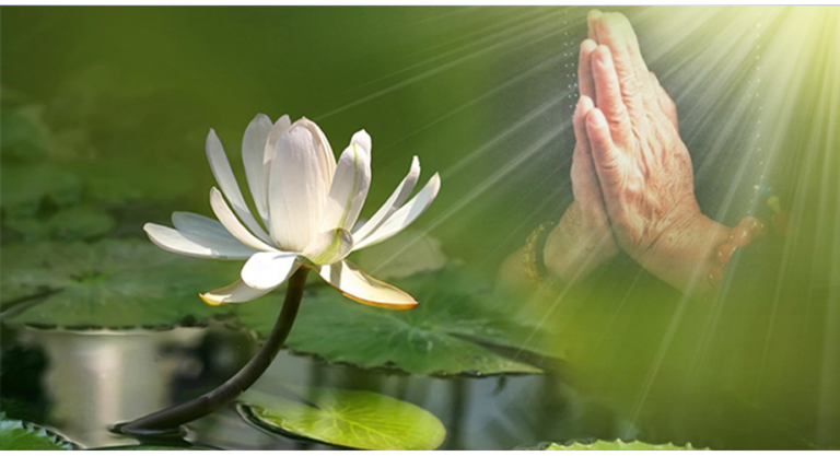 Có tiền xin đừng hà tiện, có hạnh phúc xin đừng chờ đợi, đã yêu xin đừng buông tay, thù hận đừng để bụng…