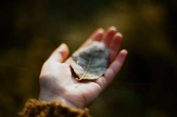 Làm người lớn không vui, không hào nhoáng, không tự do như con đã từng nghĩ