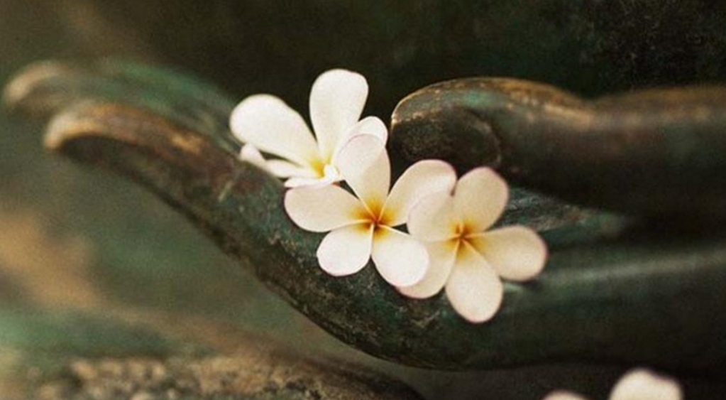 11 quy tắc nhân quả trong đời, hiểu thấu ắt sẽ có được bình an