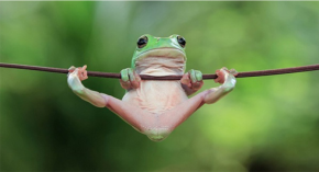 Câu chuyện ý nghĩa: Con người không chết vì đói, vì khổ mà chết vì tức