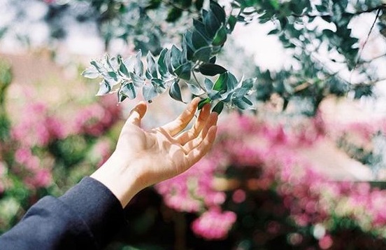 Đàn ông nên lấy người họ yêu, còn đàn bà nên lấy người yêu mình