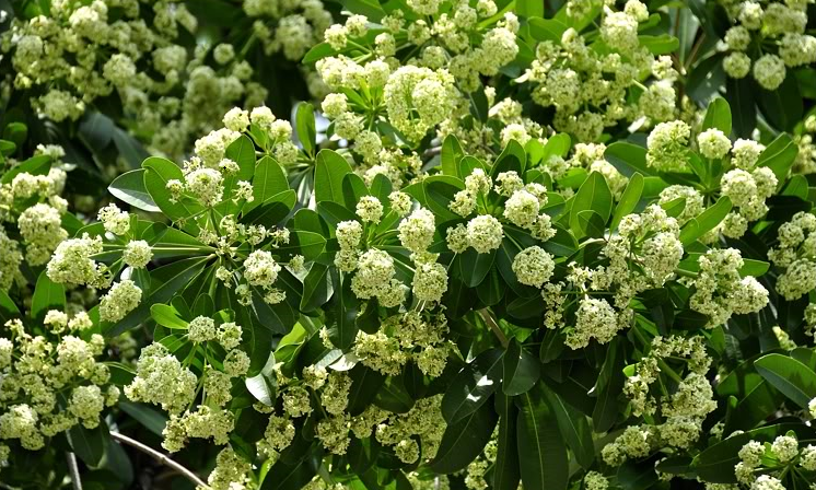 Tử vi của 12 con giáp trong thứ 7 ngày 17/8/2019