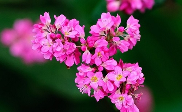 Tử vi của 12 con giáp trong ngày 24/8/2019