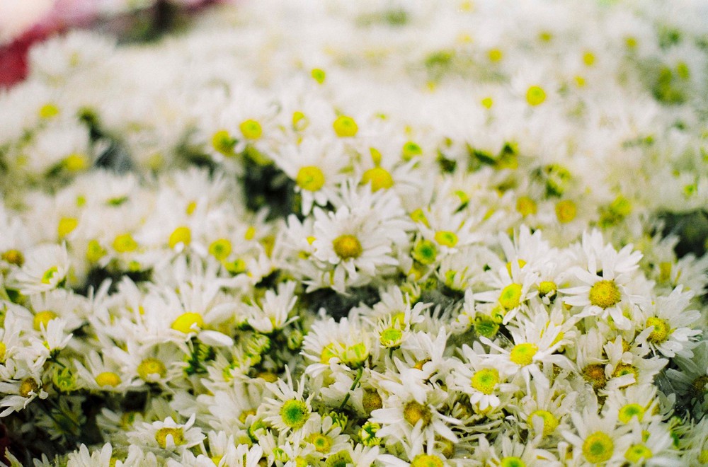 Tử vi của 12 con giáp trong ngày 3/9/2019