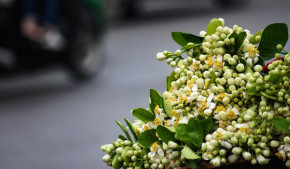 Tử vi của 12 con giáp trong ngày 6/9/2019