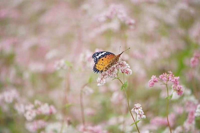 Tử vi của 12 con giáp trong ngày 7/9/2019