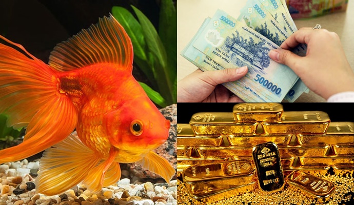 4 "giấc mộng vàng" là điềm báo thần Tài đang "vẫy tay" chào đón, may mắn dồn dập đến nhà