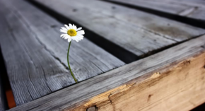 Dẫu còn nhiều mệt mỏi, xin hãy nở một nụ cười