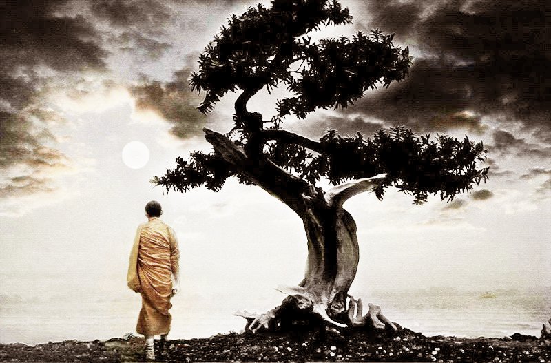 Cố nhân dạy: Sống ở đời có 3 việc bắt buộc phải học, nếu không sẽ chẳng thể khôn lên